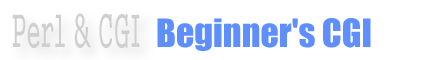 �r�M�i�[�Y CGI �^�C�g�����S